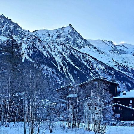 Cosy Studio On The Slopes And Centre Of シャモニー エクステリア 写真