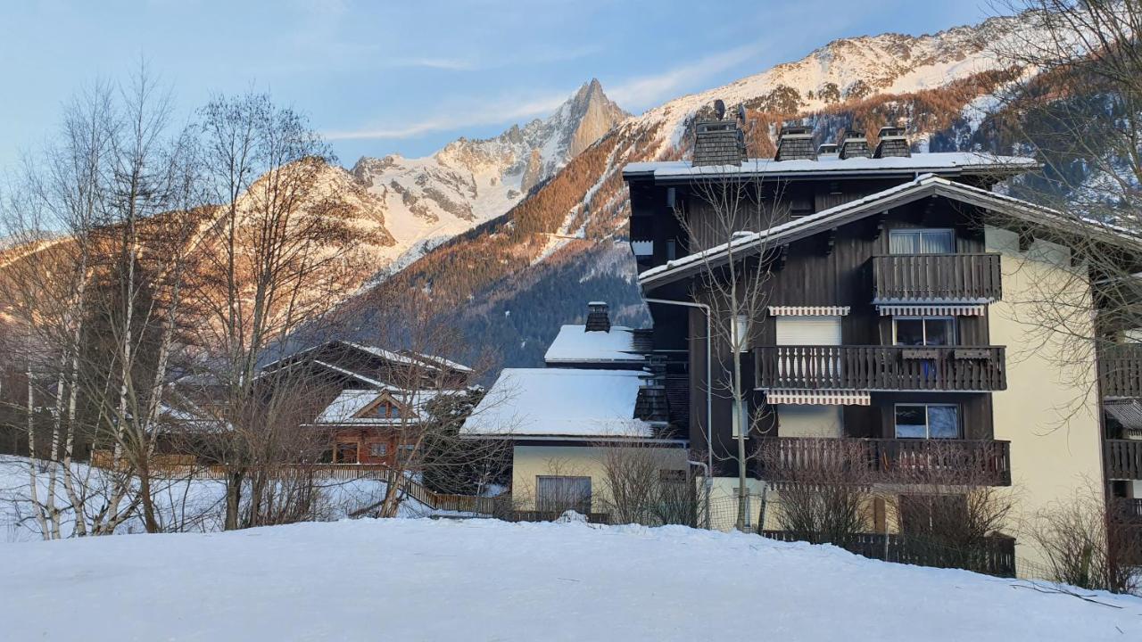 Cosy Studio On The Slopes And Centre Of シャモニー エクステリア 写真