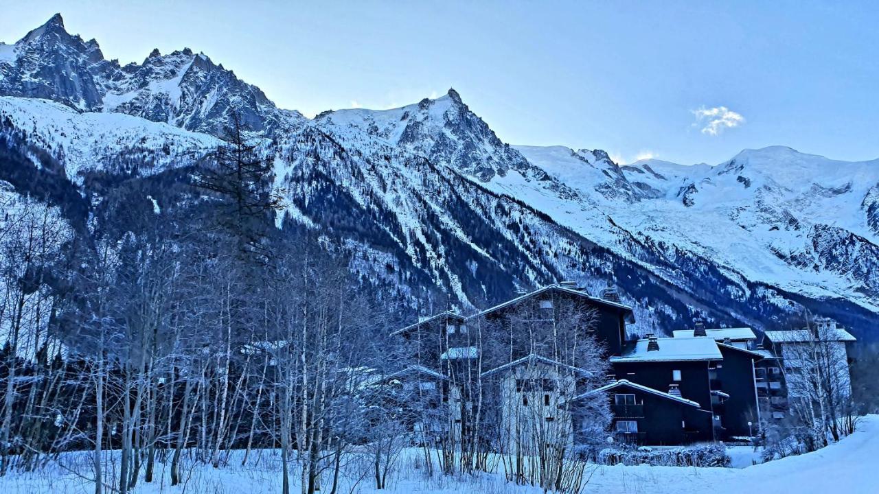 Cosy Studio On The Slopes And Centre Of シャモニー エクステリア 写真